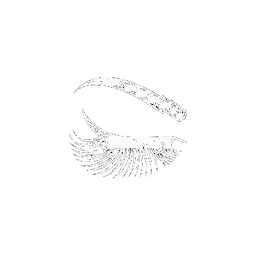 Xhibiter | NFT Marketplace